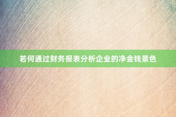 若何通过财务报表分析企业的净金钱景色