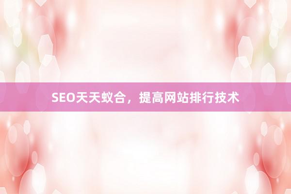 SEO天天蚁合，提高网站排行技术